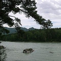 photo "***"