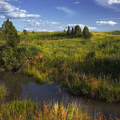 фото "Лесной ручей"