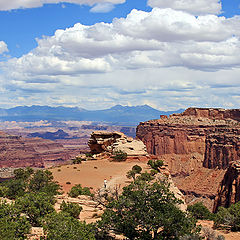 photo "Two in the desert"