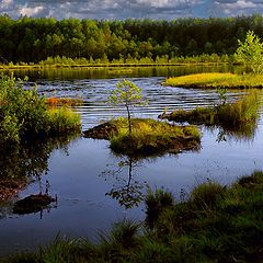 фото "На Плавучем озере"