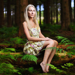 photo "Forest Fairy"