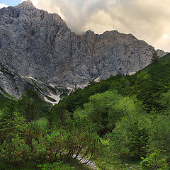 фото "Альяжев Дом"