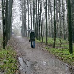 фото "Весна, дожди"