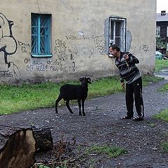 фото "Окраины большого города..."