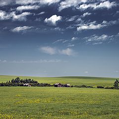 фото "Abandoned farm in August"