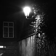 фото "Ночной окно и фонарь-2"