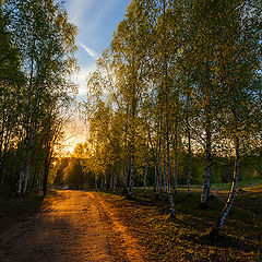 photo "Road to sunset"
