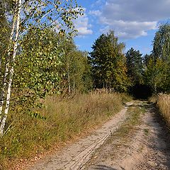 фото "Дорога к сентябрю"