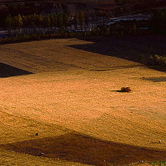 photo "autumn"