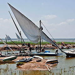 фото "Fishing boat"