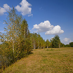 фото "По небу плыли облака"