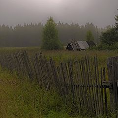 фото "Утро"