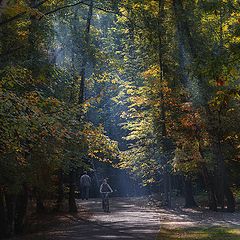 фото "Солнечная дымка..."