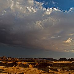 фото "Before the storm"