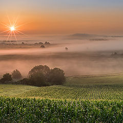 photo "Misty morning"