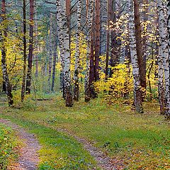 фото "Унылая пора..."