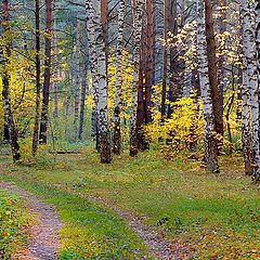 фото "Унылая пора..."