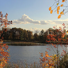 photo "Last days of September."