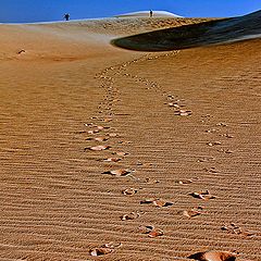 photo "FOOT PRINTS"