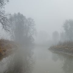 фото "Осень туманная..."