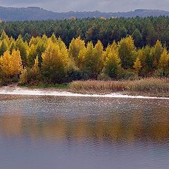 фото "Осенний этюд"