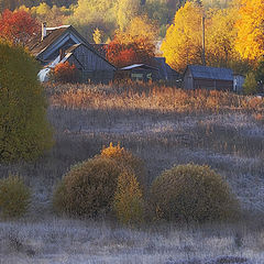 фото "Золотая осень"