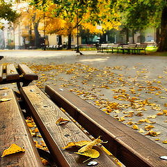фото "Осенний сон"