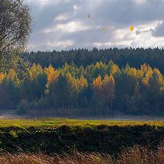 фото "Осенний этюд"