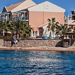 фото "WALKING ON THE BEACH"