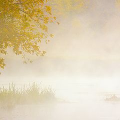 photo "Misty Morning at Pahra River"