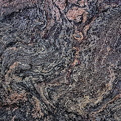 photo "Life History. On the faces of granite 1"