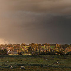 photo "Octobre"