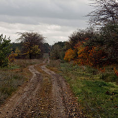 фото "Осень 2011"