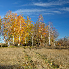 фото "Осенний этюд 3"