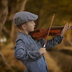 photo "Young musician"