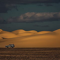 фото "Dunes 35"