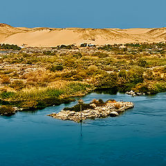 photo "NILE RIVER"