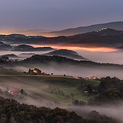 photo "First morning drive"