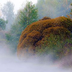 photo "Milky Creek"