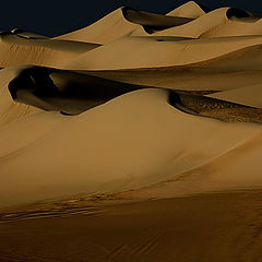 photo "Dunes 36"