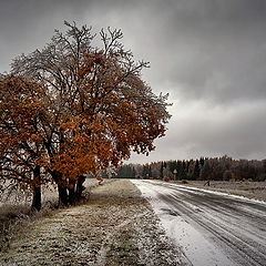 фото "В ледяное царство"