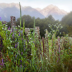 photo "Beautiful fence"