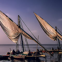 photo "Fishing boats"