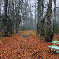 фото "зеленая скамейка"