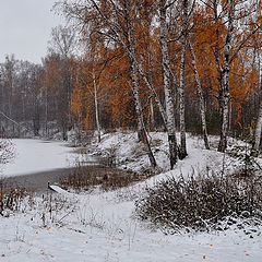 фото "Первый снег"