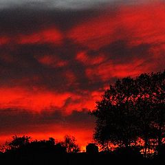 photo "Fire In The Sky"