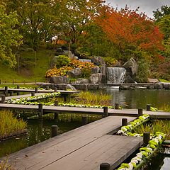 фото "Japanse tuin herfst"