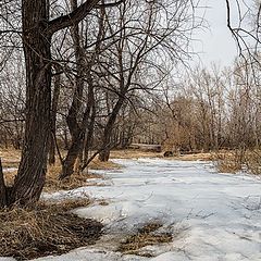 фото "Межсезонье"