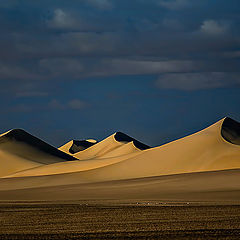 photo "Dunes 37"