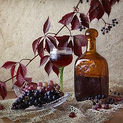 фото "Вино  нового урожая"